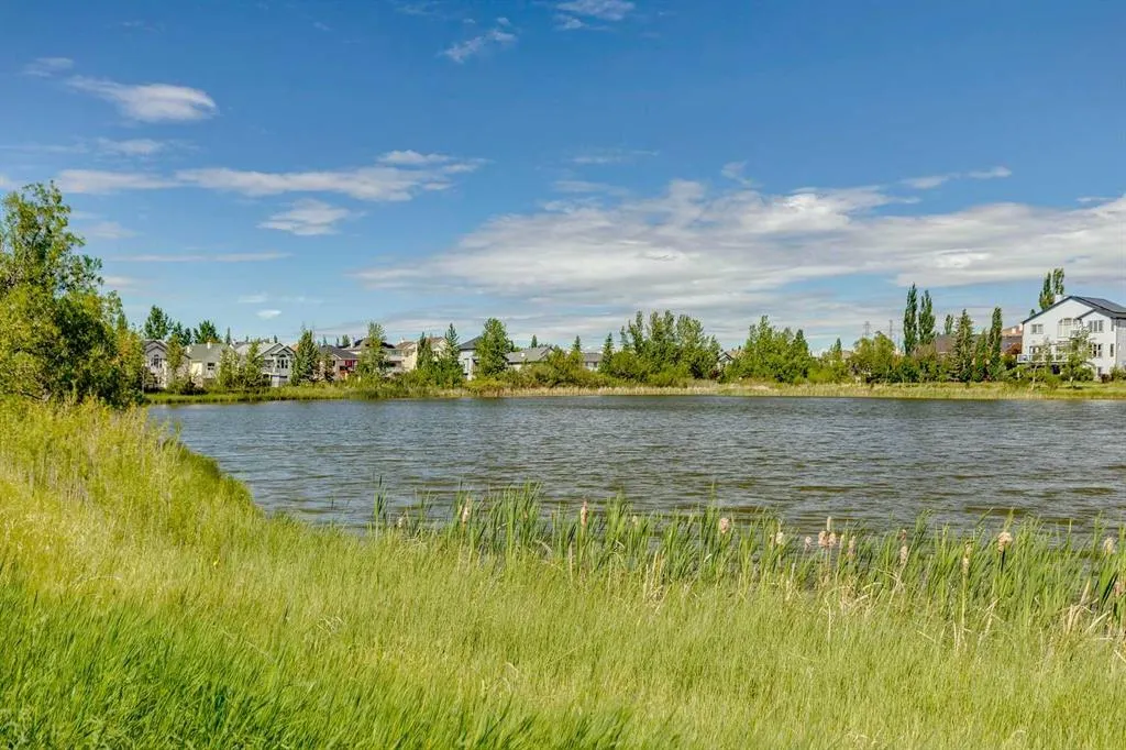 572 West Creek Point