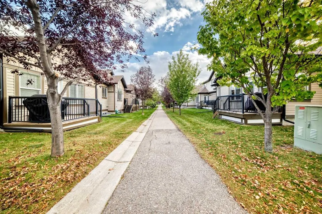 100 Coopers Common SW #119
