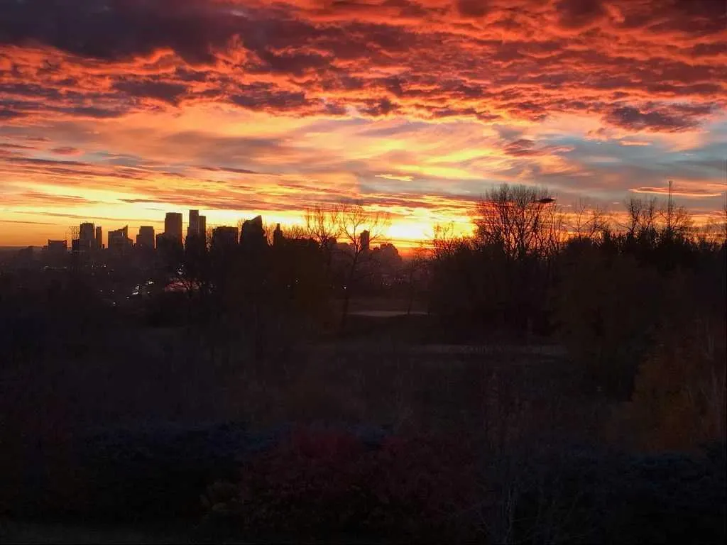 520 Cedar Crescent SW #202