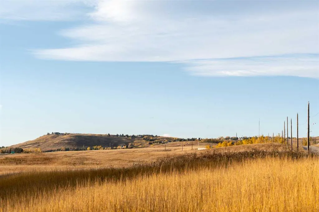 Lower Springbank Road