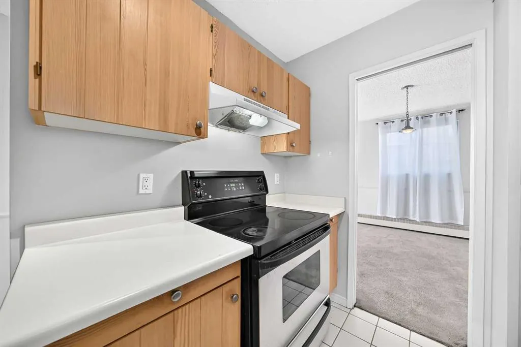 537 14 Avenue SW #306