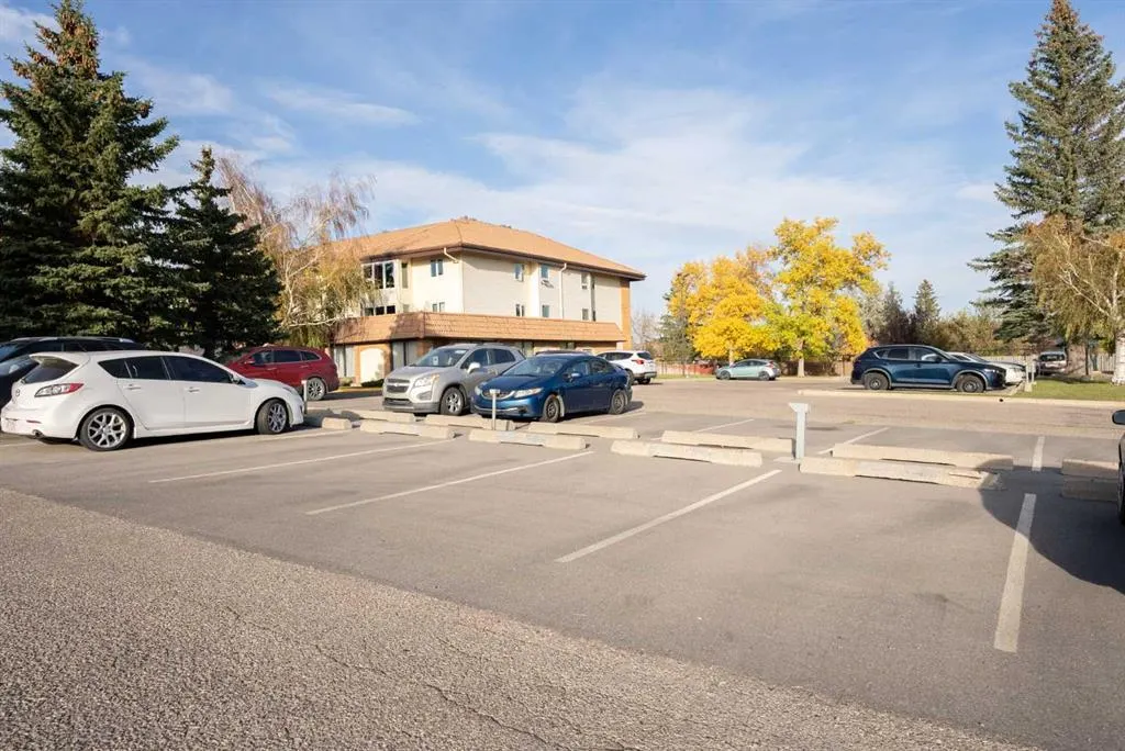 65 Temple Boulevard W #307