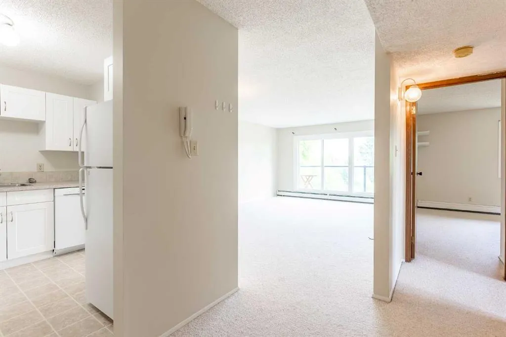 65 Temple Boulevard W #307