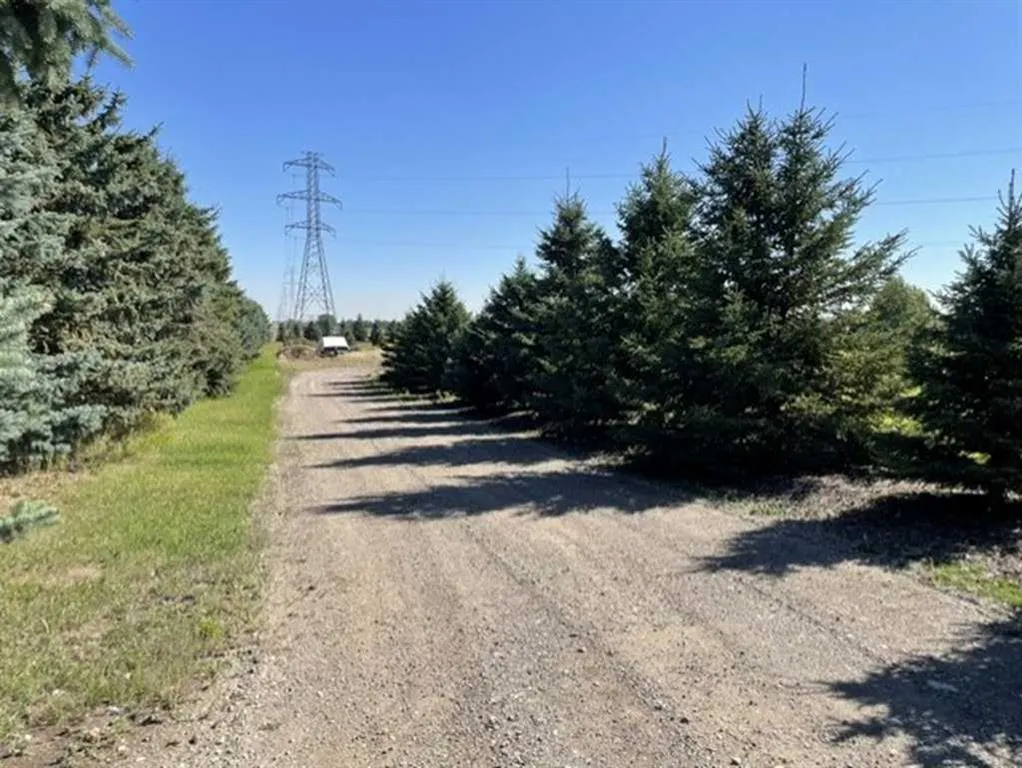 TWP RD 260