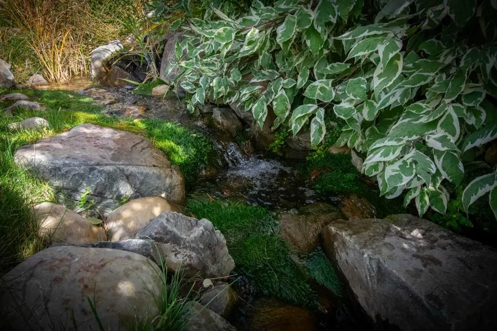 166 Nolancliff Crescent NW
