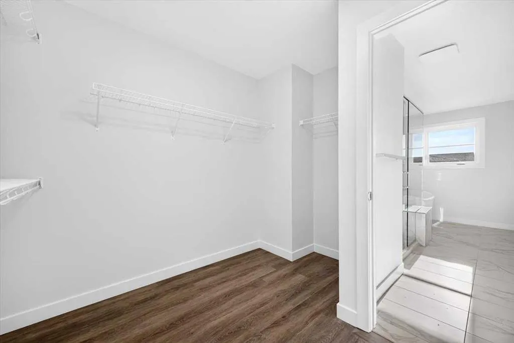 1141 Sailfin Heath