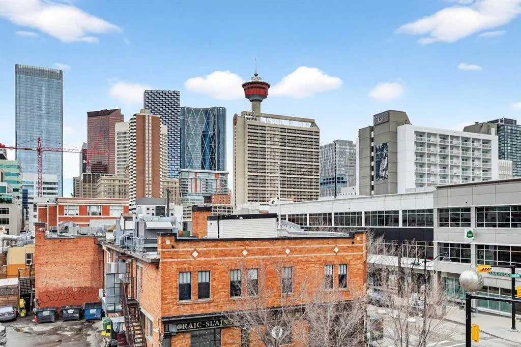 215 13 Avenue SW #302