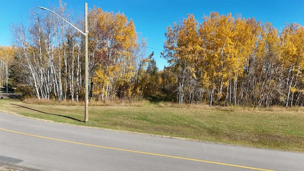 13441 665A Township #389