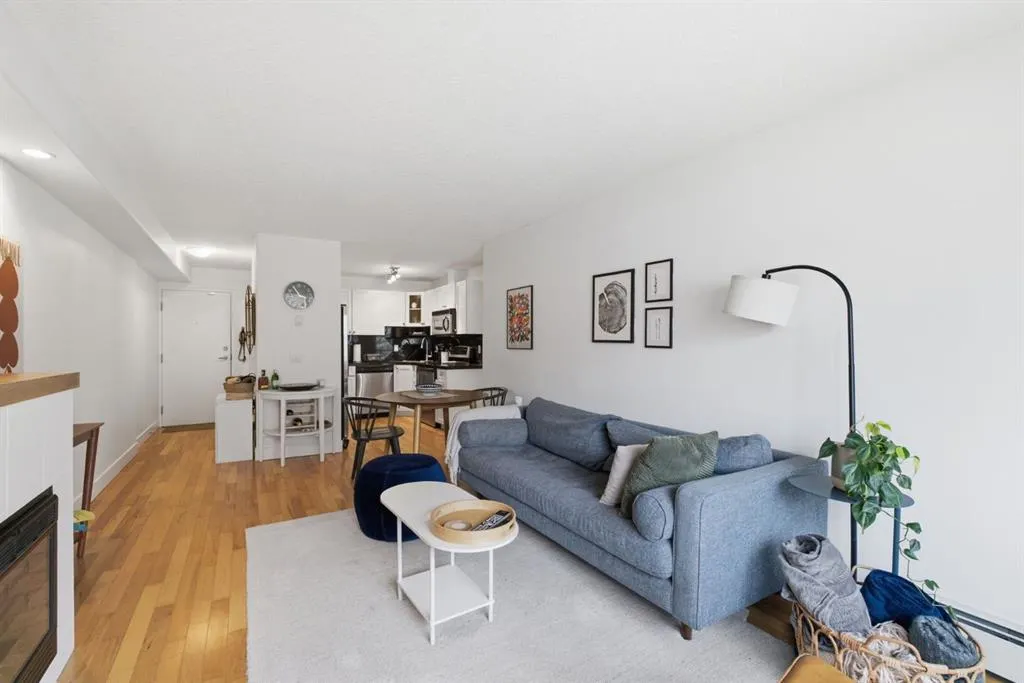 716 3 Avenue NW #305