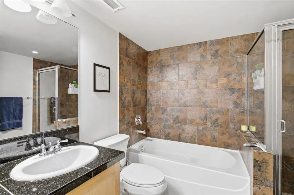716 3 Avenue NW #305