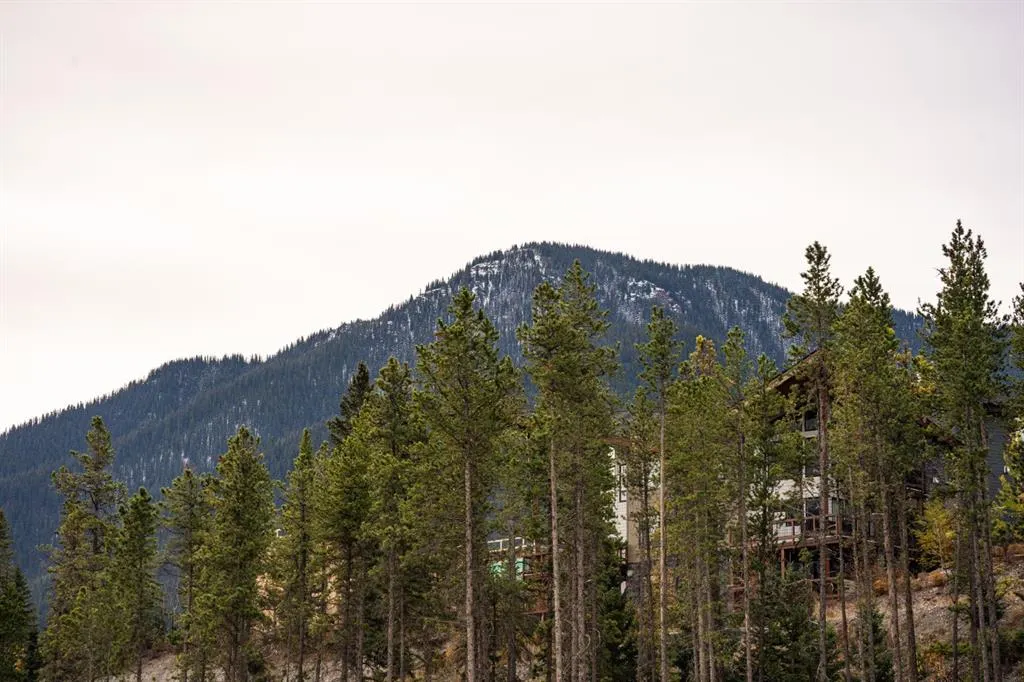 10 Cascade Ridge #204