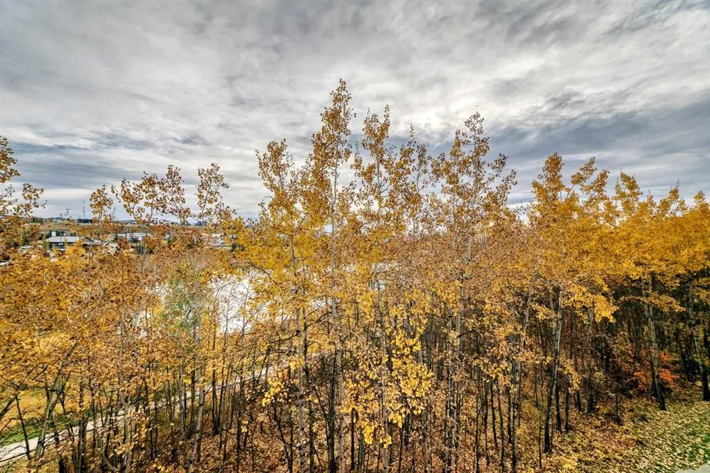 45 Aspenmont Heights SW #216