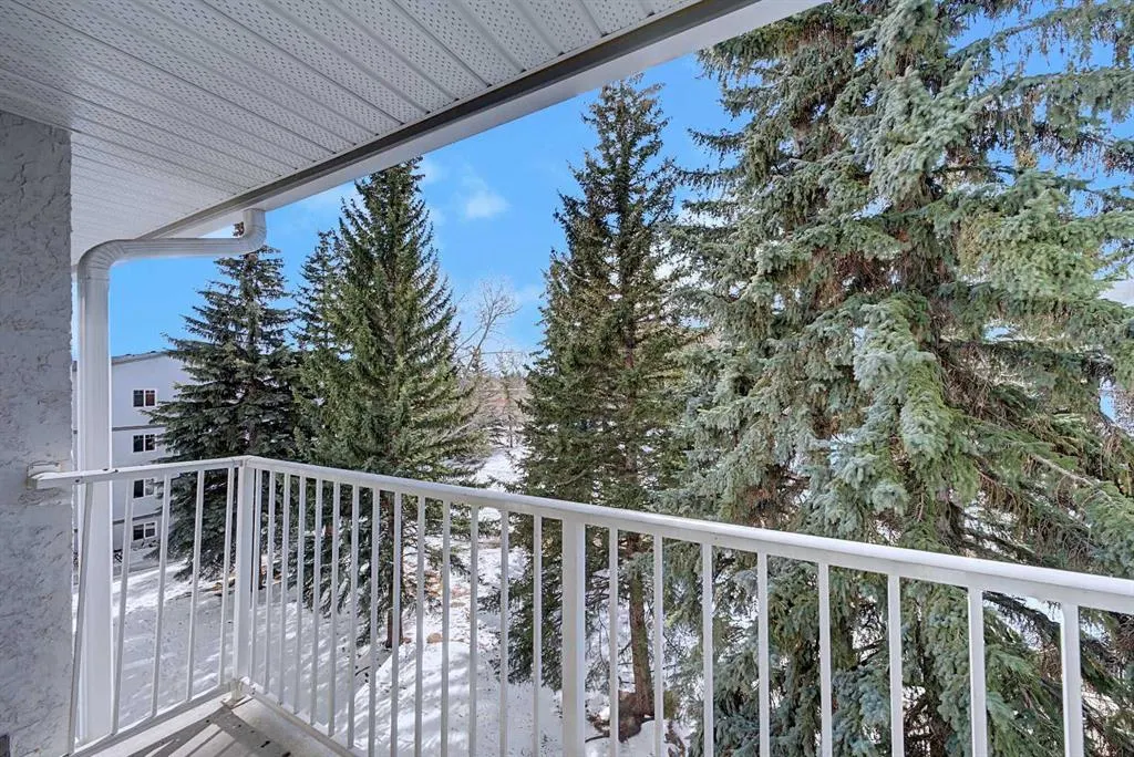 5601 Dalton Drive NW #402C