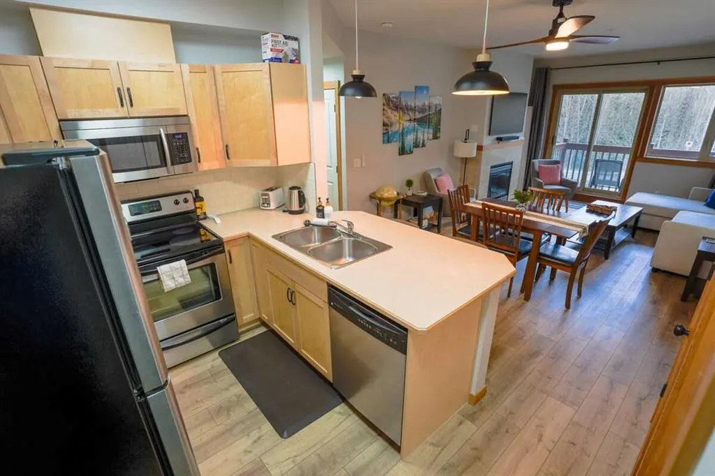 101 Montane Road #101