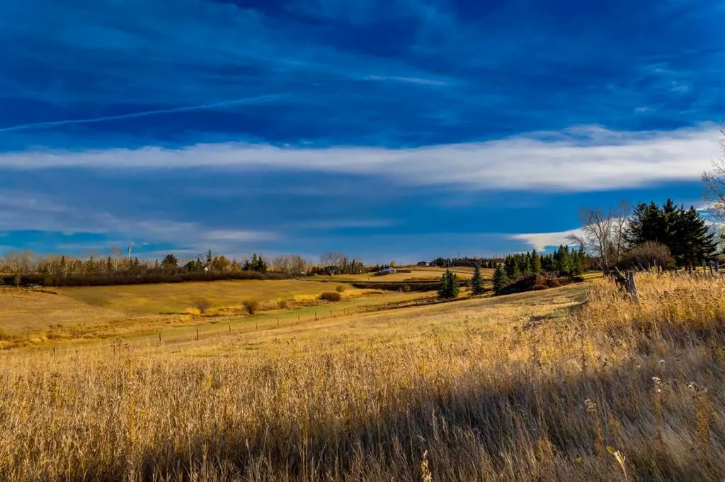 11 Idlewild Estates
