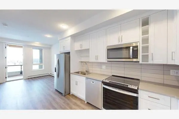 3932 University Avenue NW #528