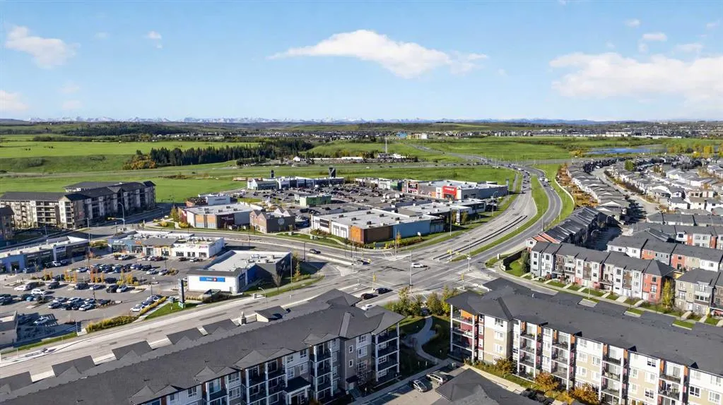 10 Walgrove SE #217