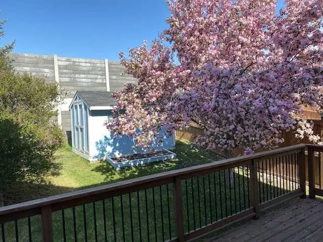 128 Douglas Ridge Close SE