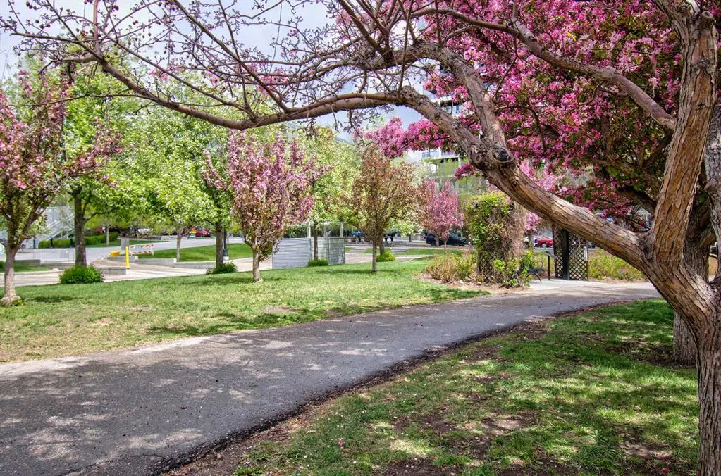 955 Mcpherson Road NE #515