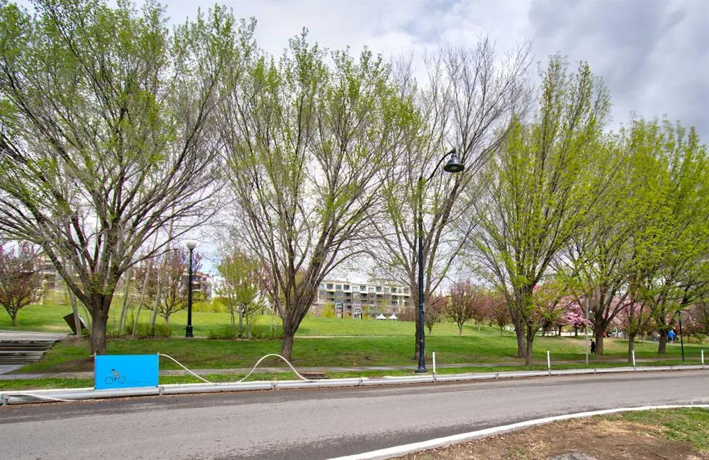 955 Mcpherson Road NE #515