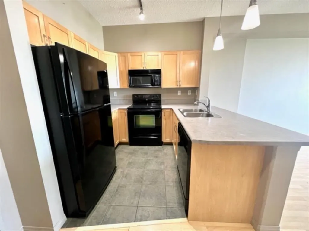 12330 102 St #215
