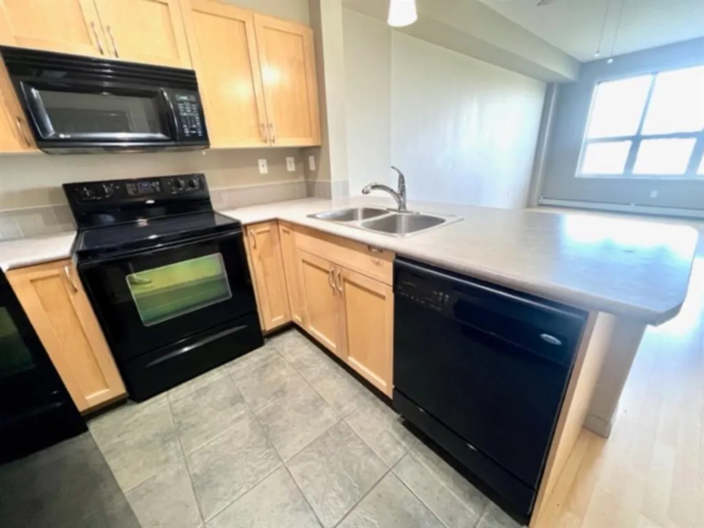 12330 102 St #215