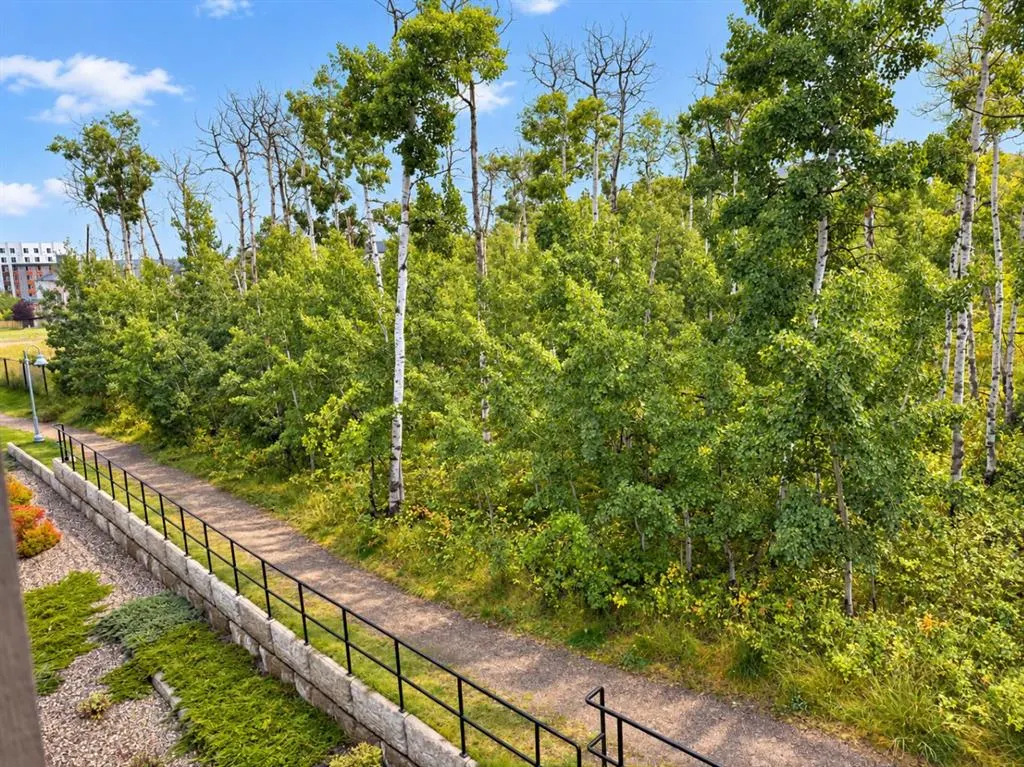 25 Aspenmont Heights SW #313