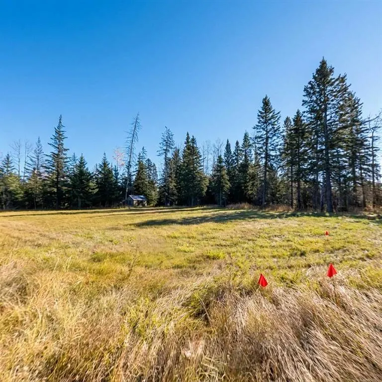 115 Meadow Ponds Drive