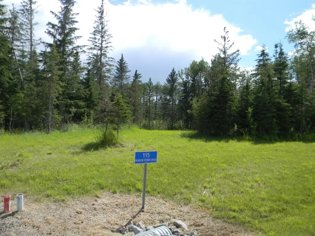 115 Meadow Ponds Drive