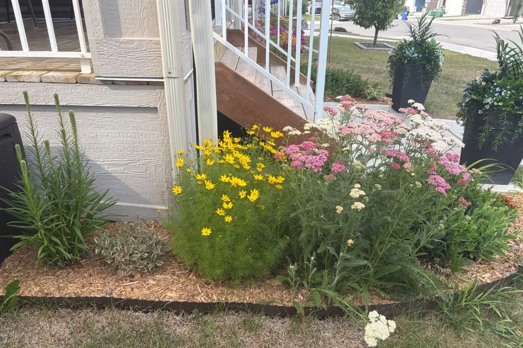 46 Emberside Garden