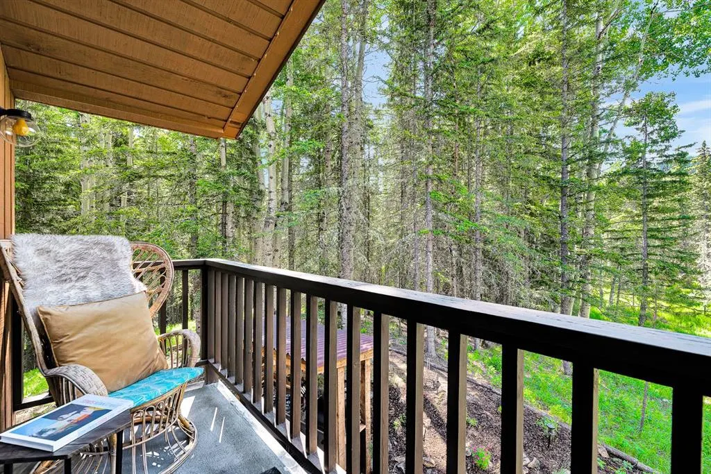 37 Aspen Creek Drive