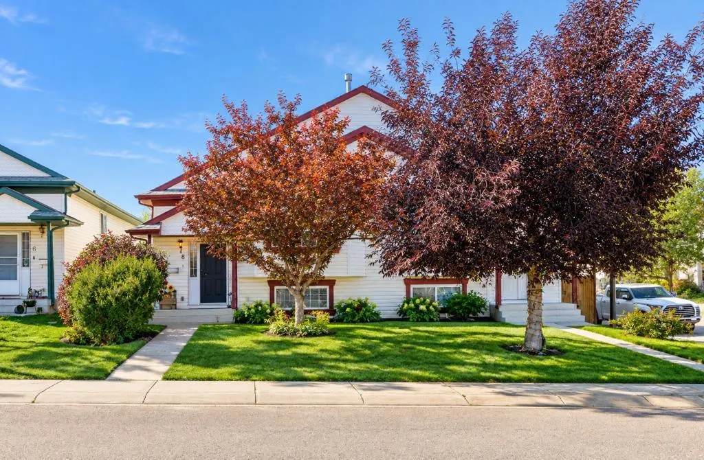8 Daines Avenue
