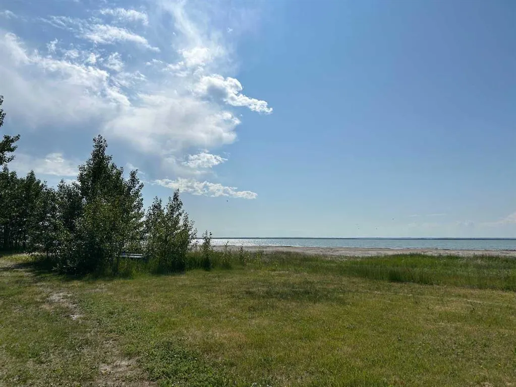 Buffalo Drive #1