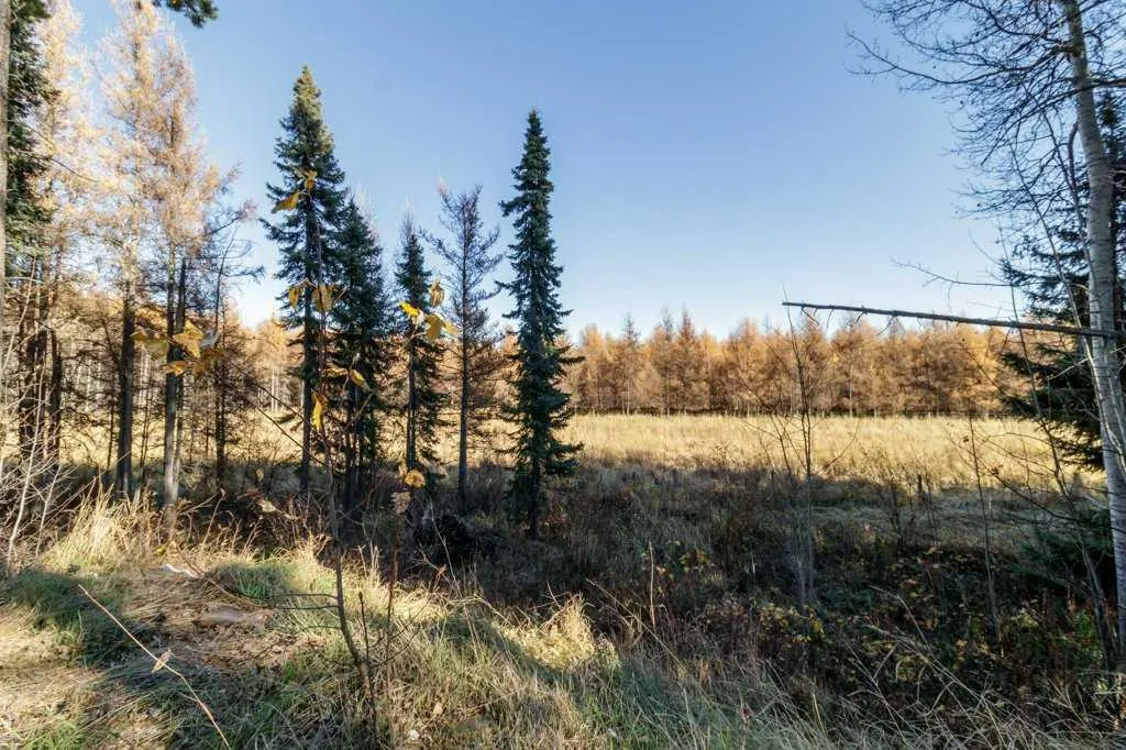 391083 Range Road 6-5
