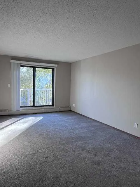 49 Bennett Street #303