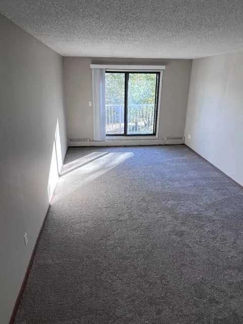 49 Bennett Street #303