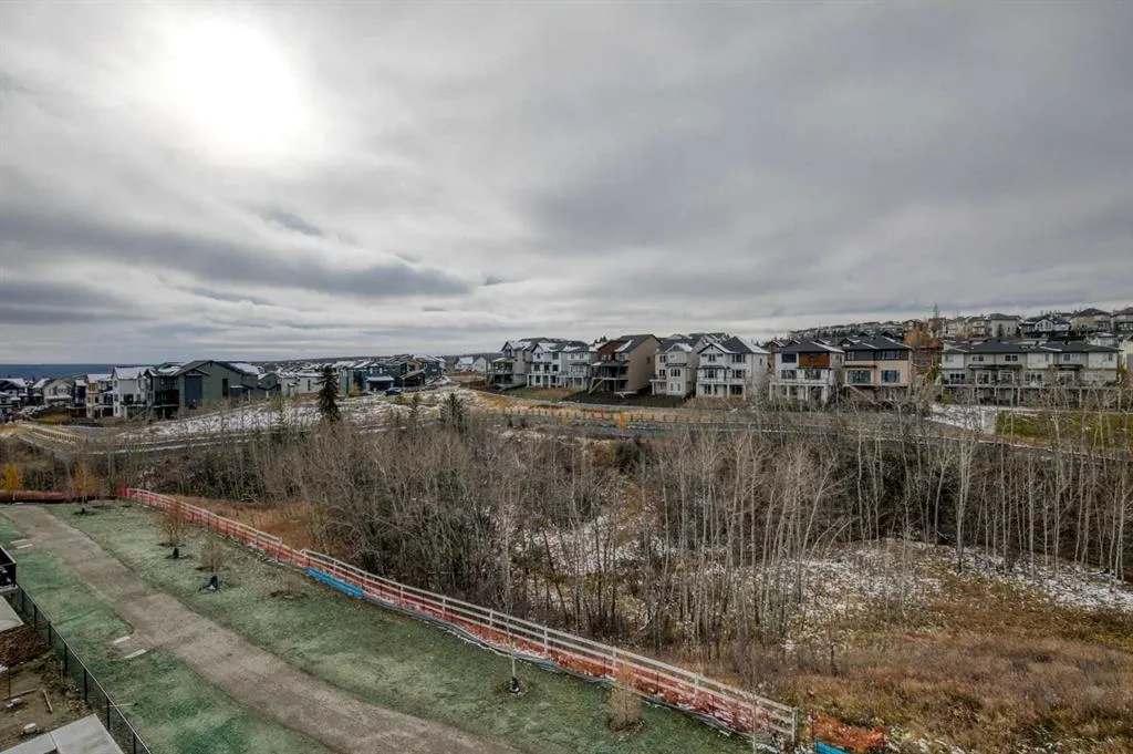 2117 81 Street SW #2402
