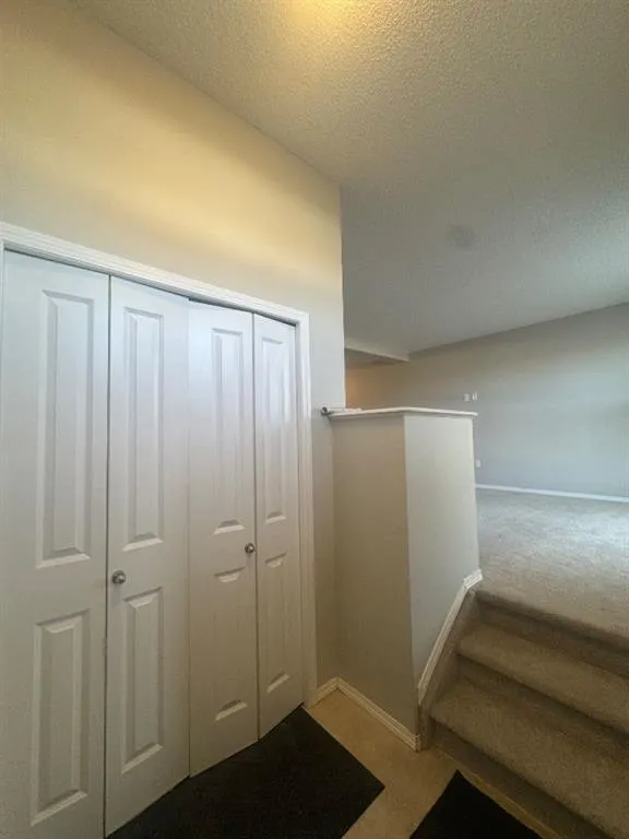 273 Southfork Drive