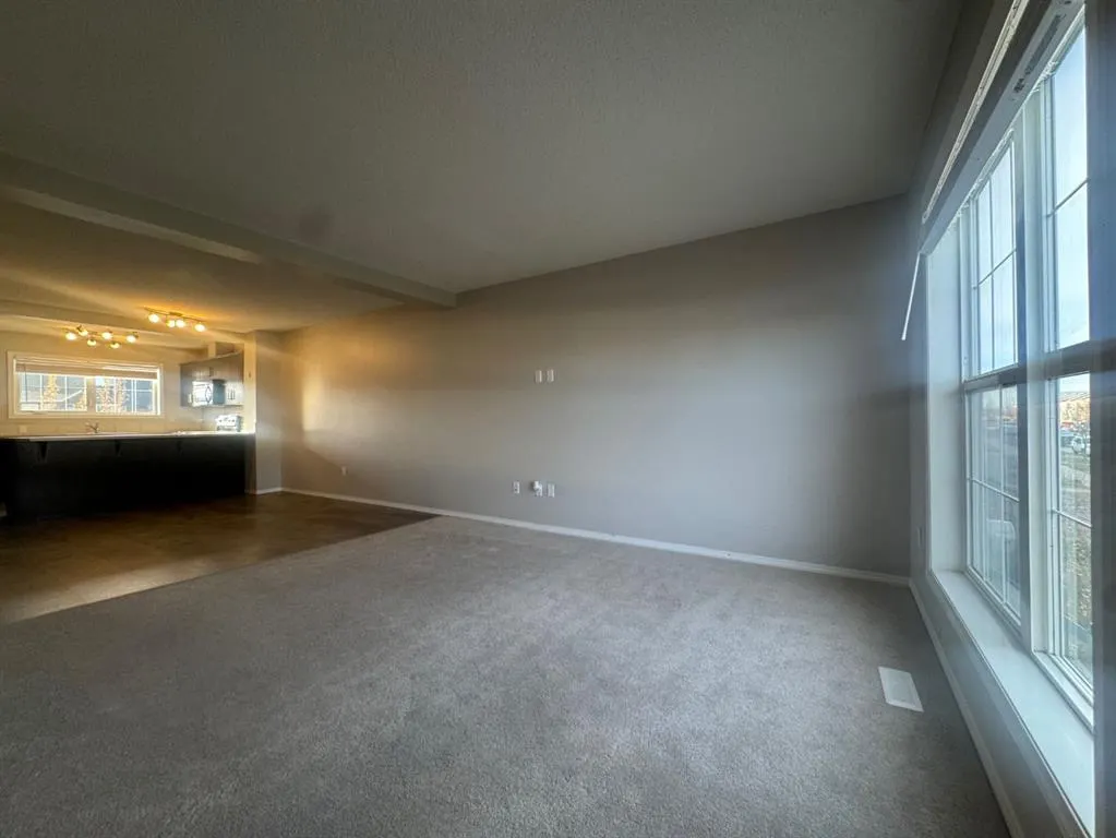 273 Southfork Drive