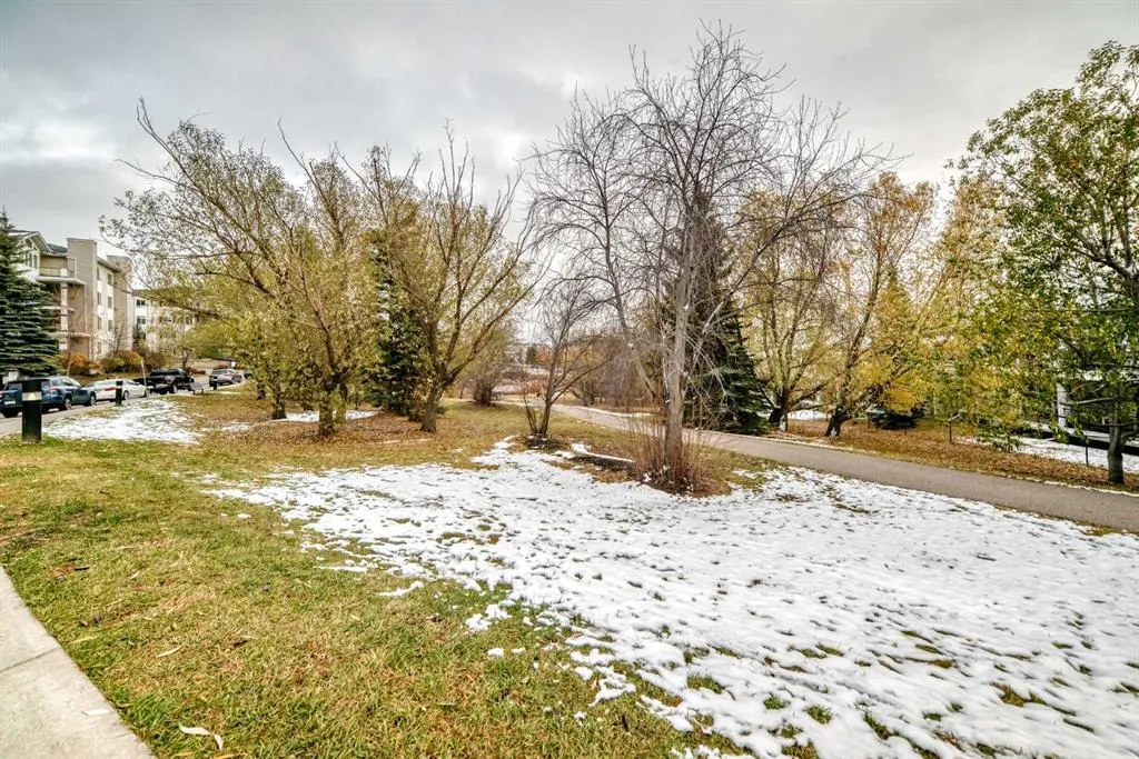 369 Rocky Vista Park NW #302