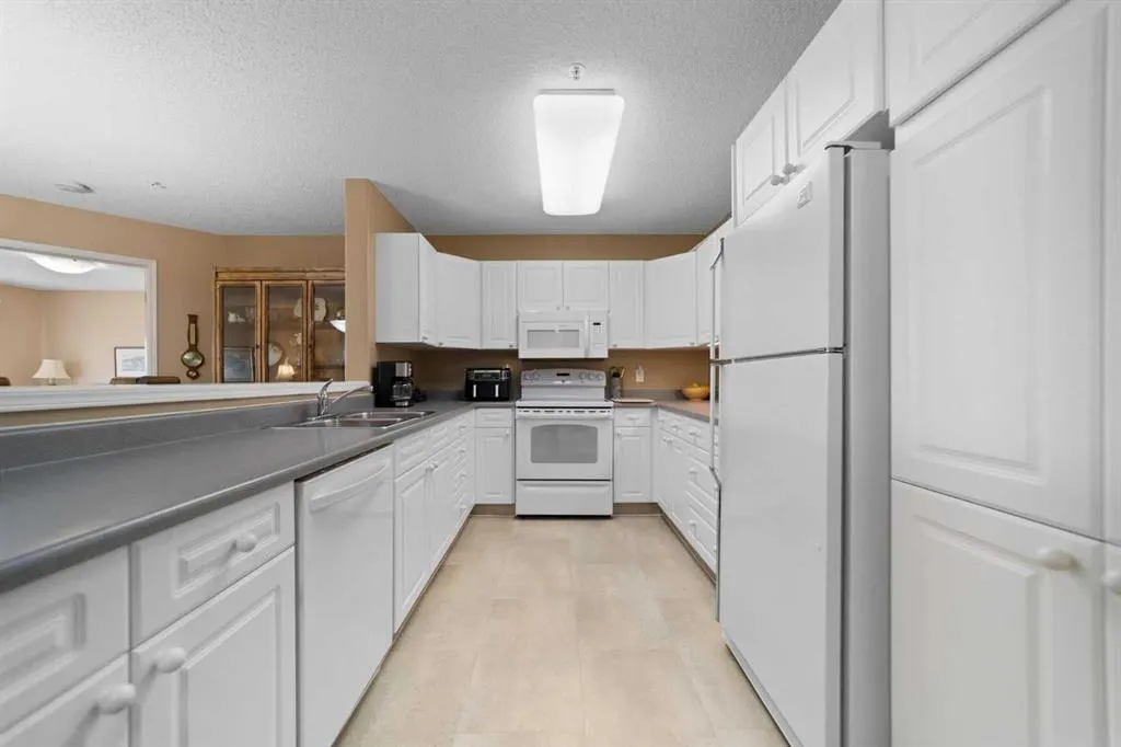 4615 50 Street #306