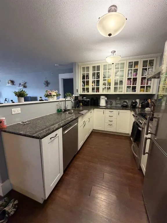 10217 Queen Street #404