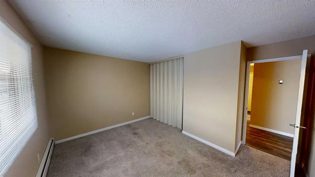10028 105 Avenue #20