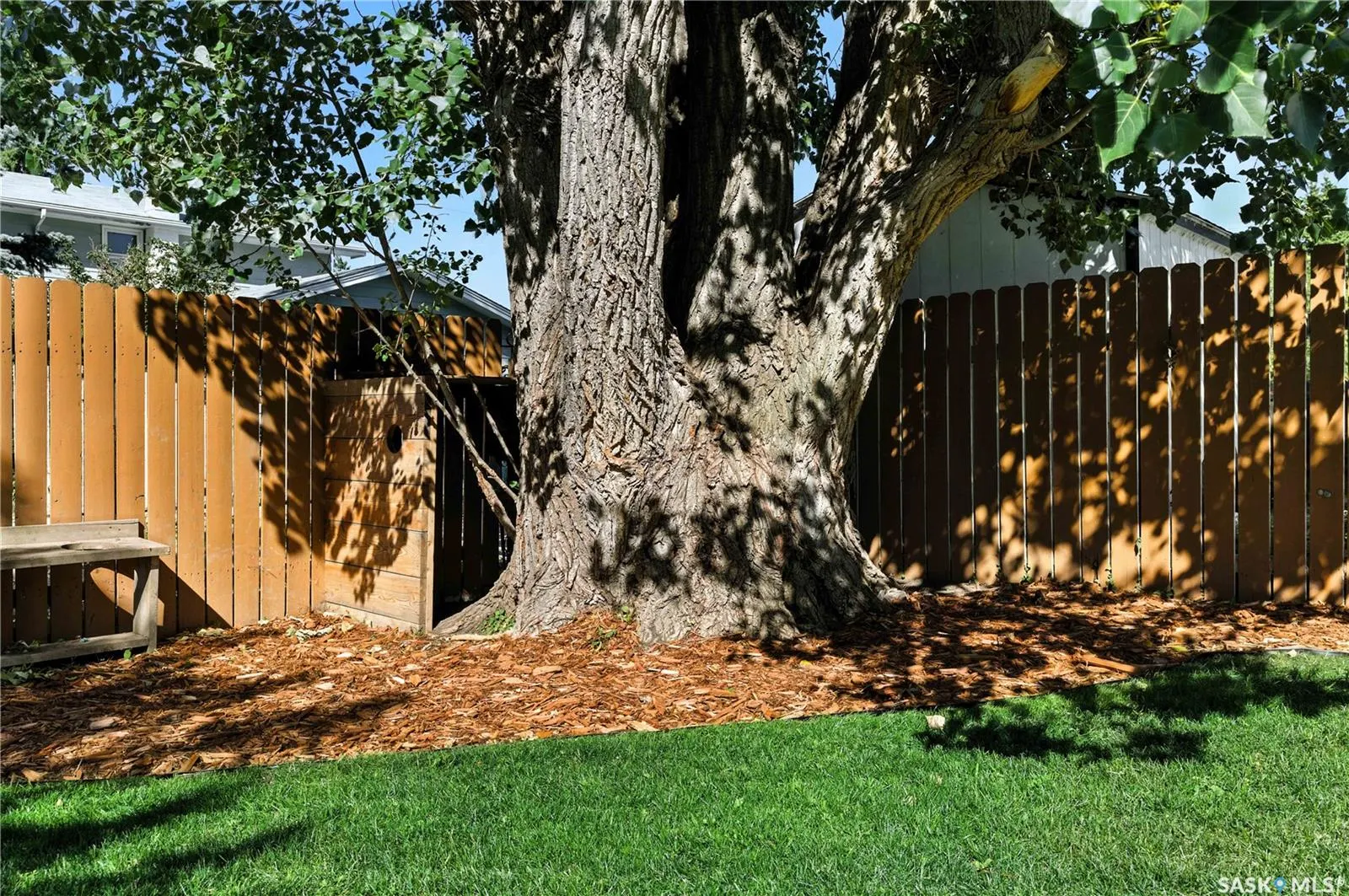 6 Wilkie ROAD