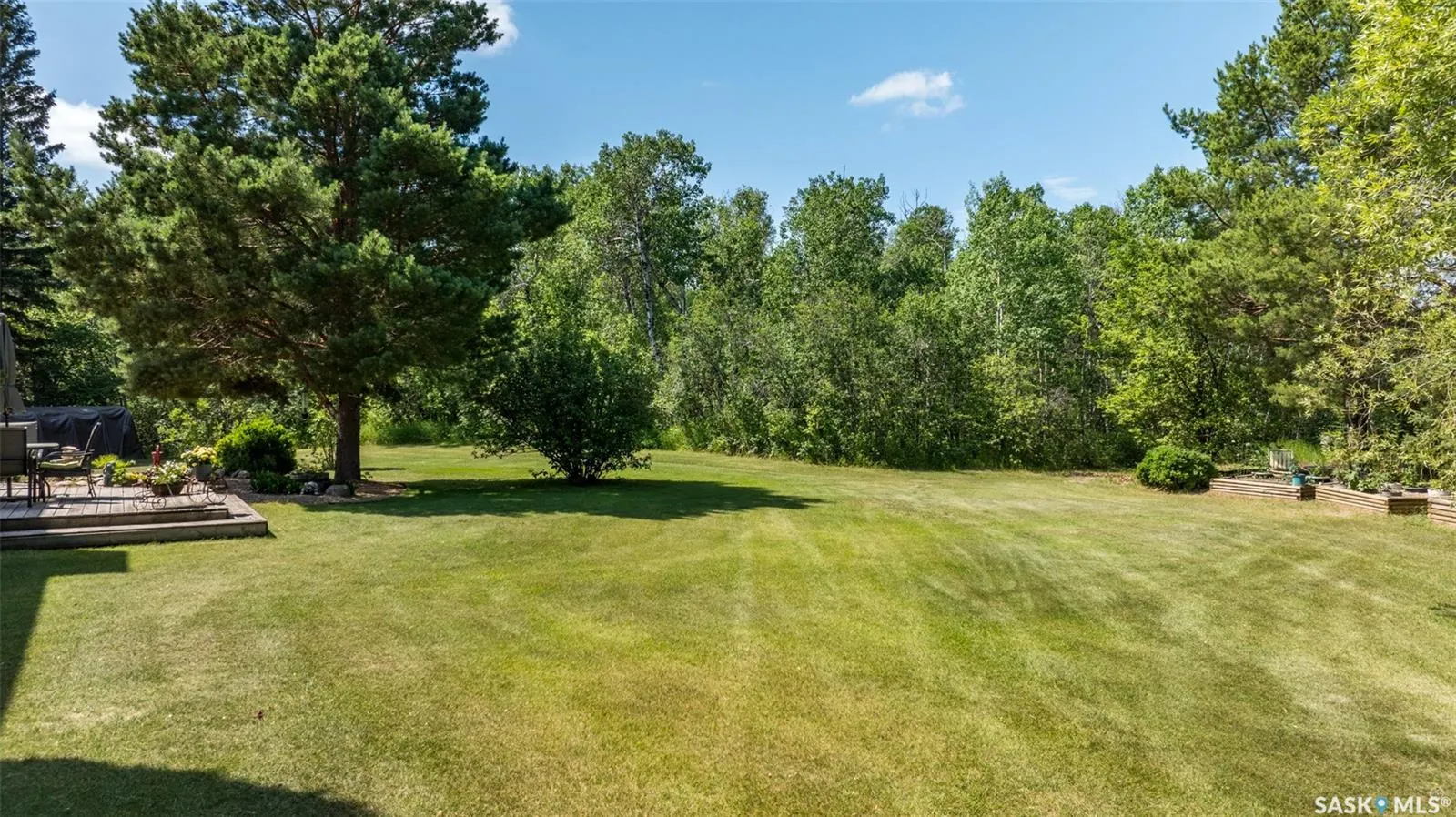461 Birch PLACE