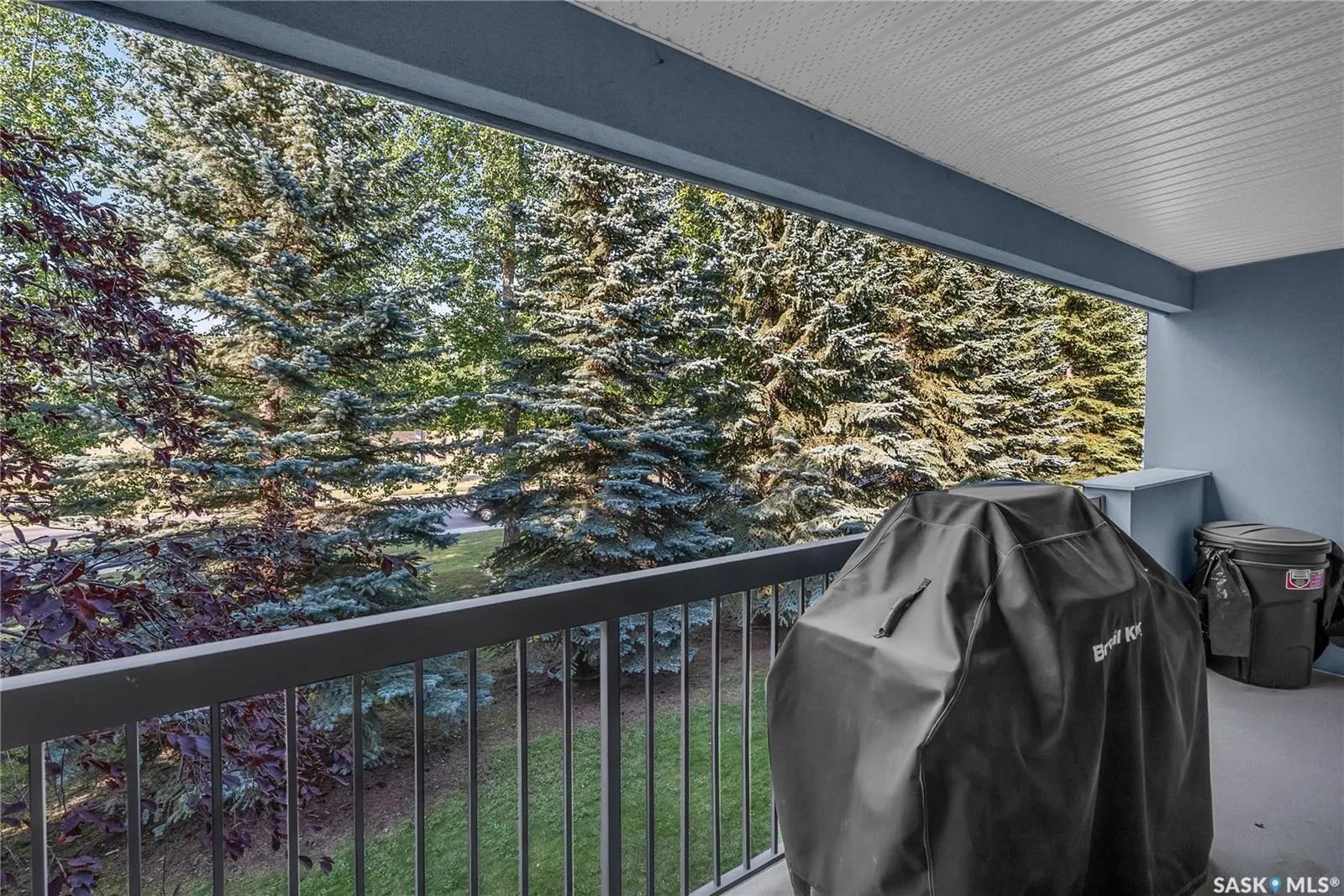 217A Cree PLACE, #207