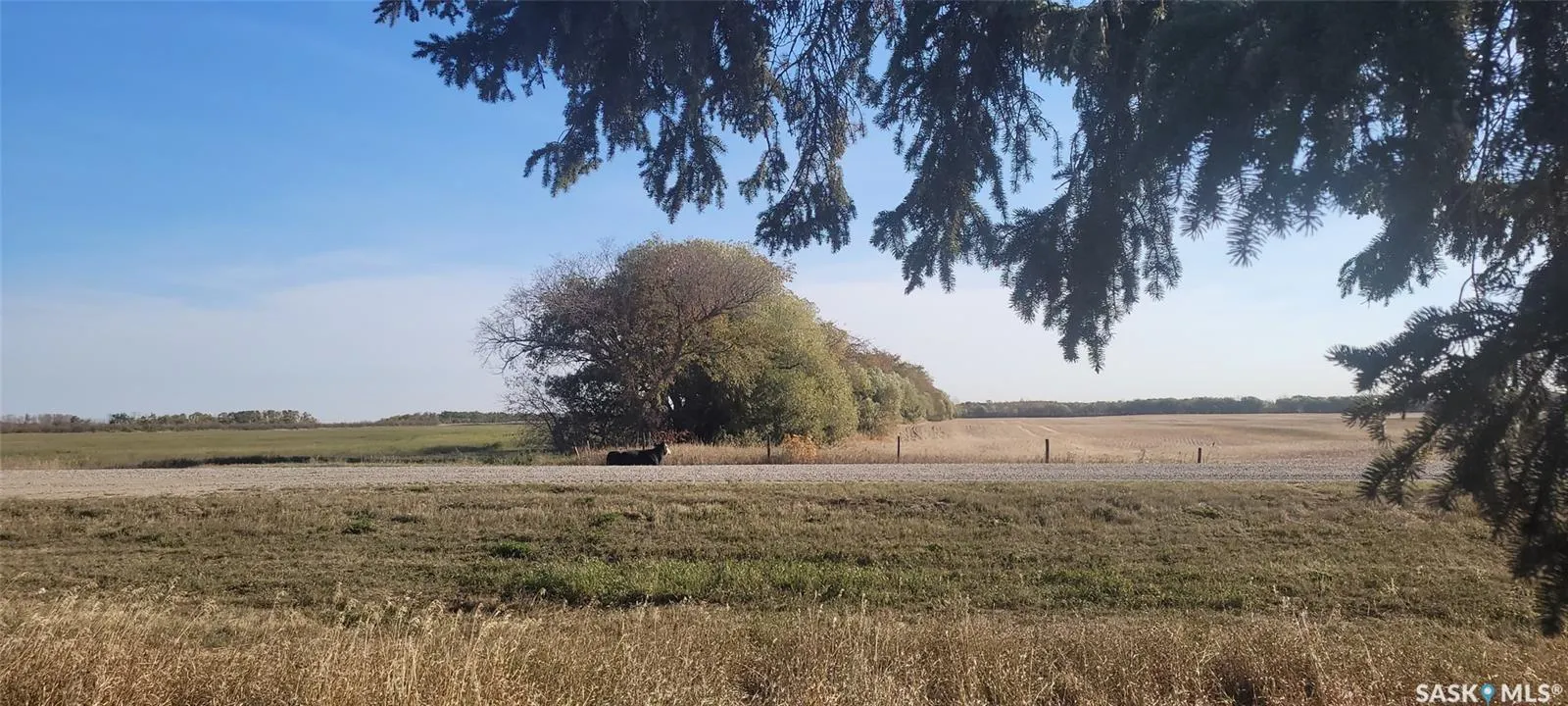 Rural Address