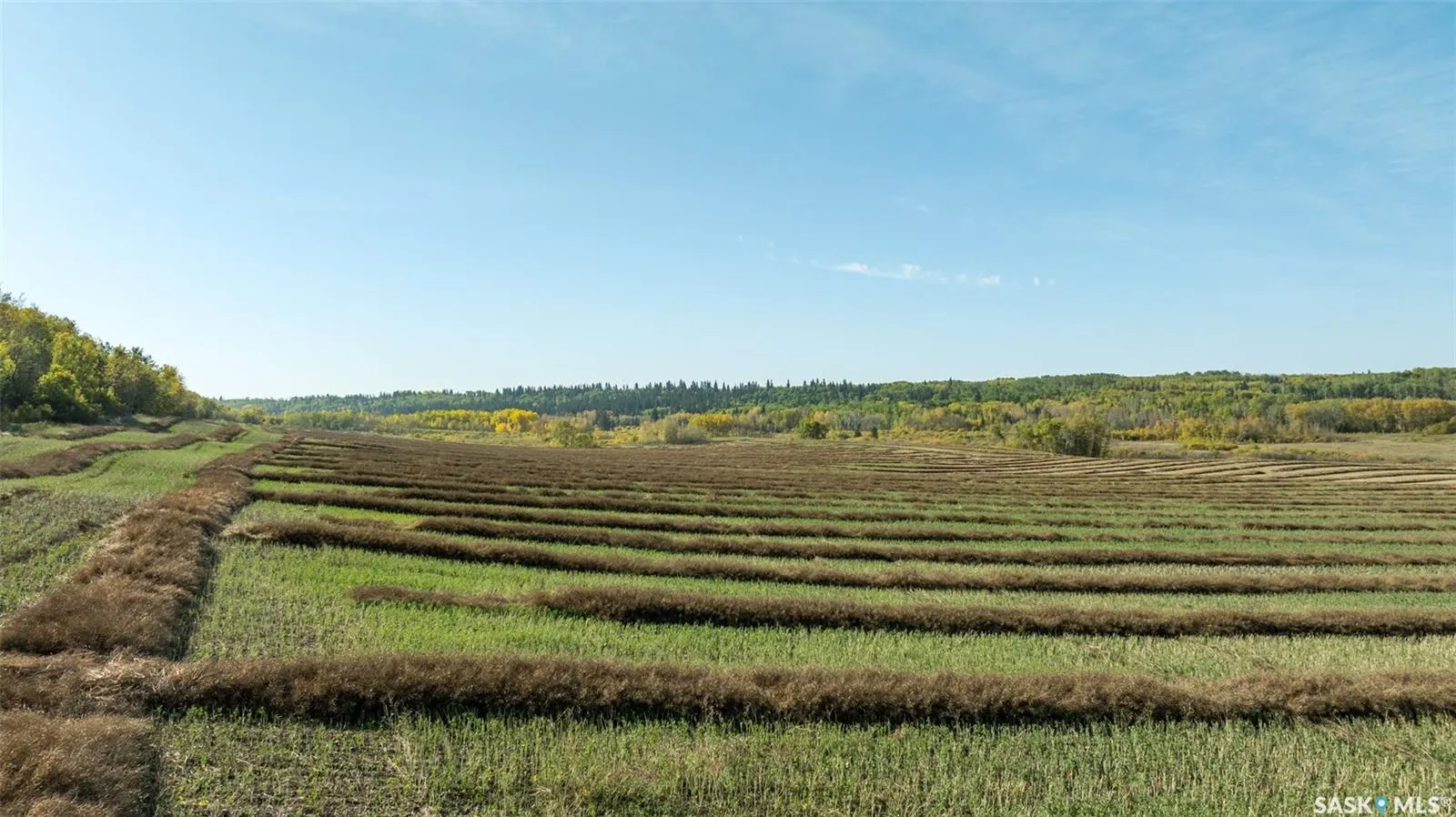 Rural Address