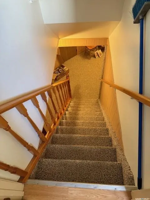41 mackenzie DRIVE