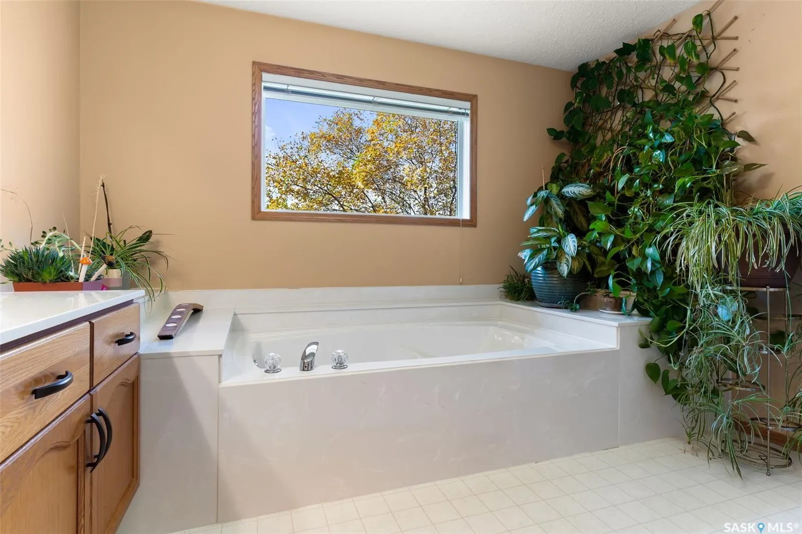 3562 Hazel GROVE